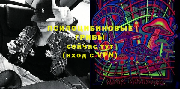 прущие грибы Аркадак