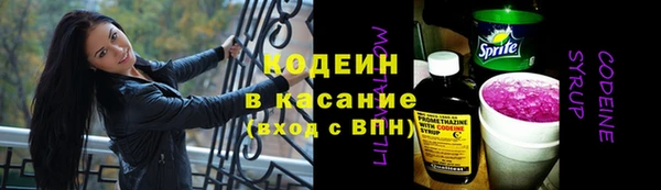 прущие грибы Аркадак