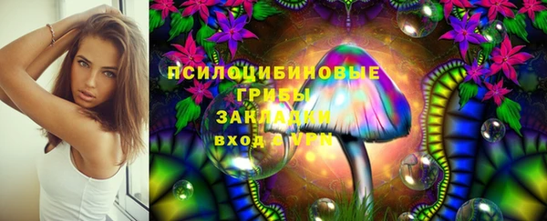 трава Арсеньев