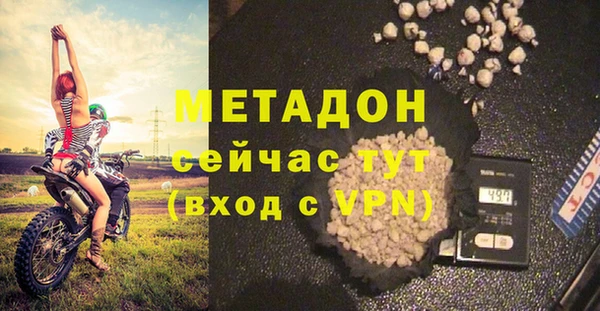 прущие грибы Аркадак