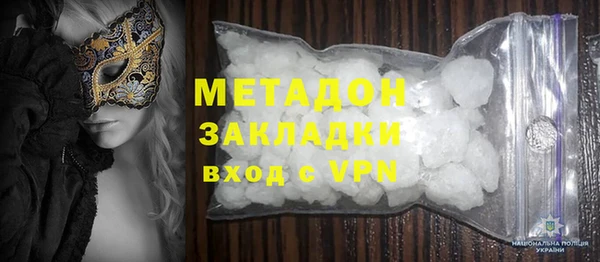 прущие грибы Аркадак