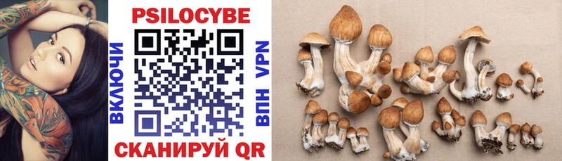 купить   Тейково  Галлюциногенные грибы Psilocybe 